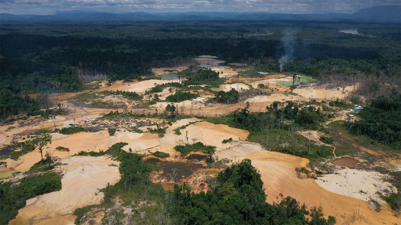 'Como uma bomba explodindo': por que a maior reserva do Brasil está à beira da destruição.