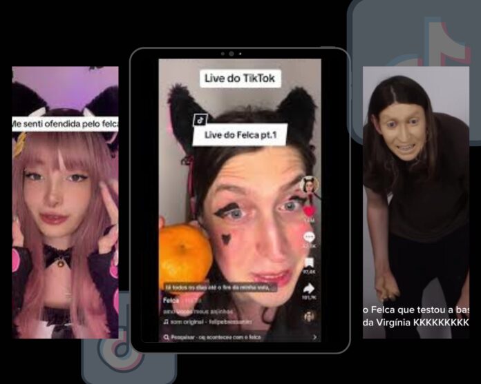 Youtuber Felca: Da Sátira às Lives de NPC no TikTok
