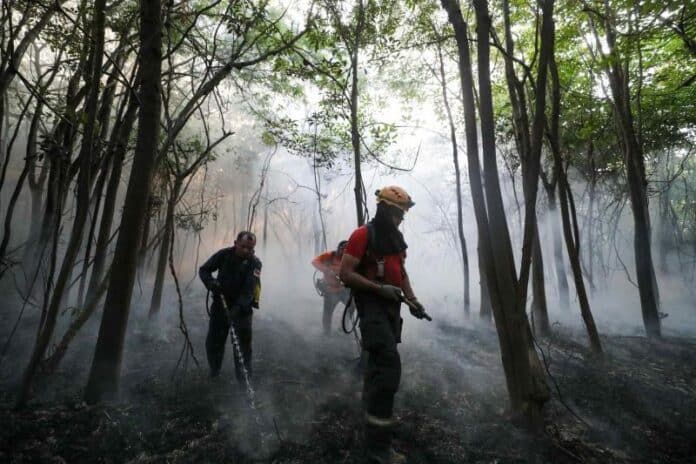 Brigadistas no Amazonas Combatem Queimadas