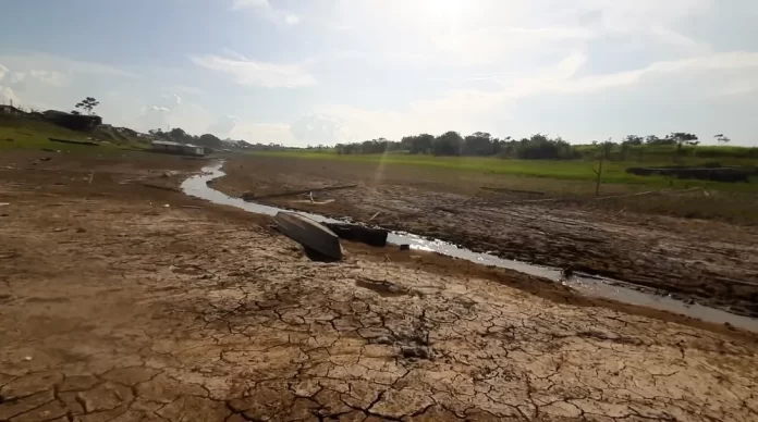 Crise Hídrica no Amazonas: 80 Mil Afetados
