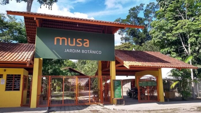 Entrada Gratuita para Crianças no Musa