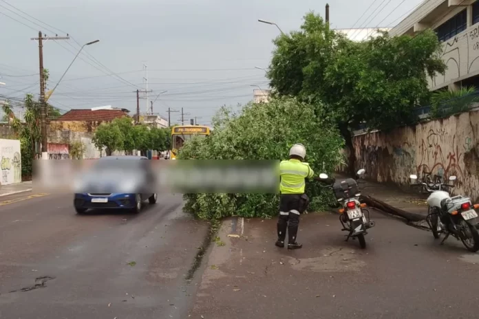 Temporal em Manaus: Impactos da Chuva Intensa