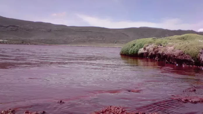 Nilo Vermelho e Laguna Roja: Desvendando Mistérios Aquáticos