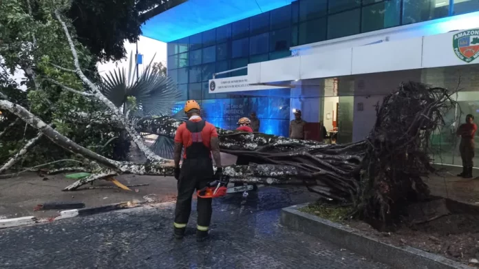 Chuva em Manaus: Queda de Árvore na Ponta Negra