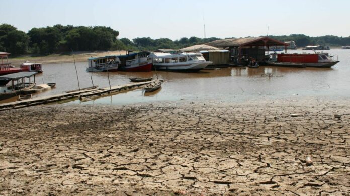 Desafios Pós-Emergência: Seca no Amazonas