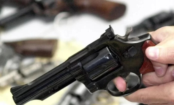 Comissão Autoriza Estados a Legislar sobre Armas