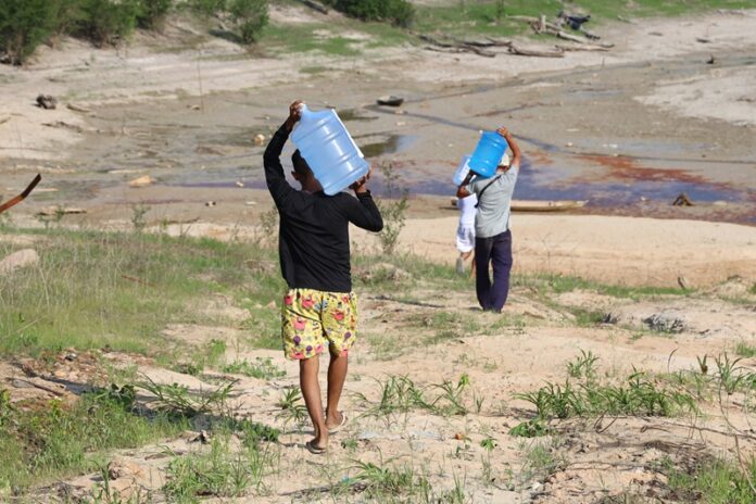 Estiagem no Amazonas: Desafios Atuais e Ações do Governo