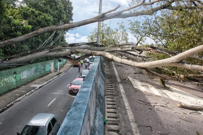 Caos no Trânsito em Manaus