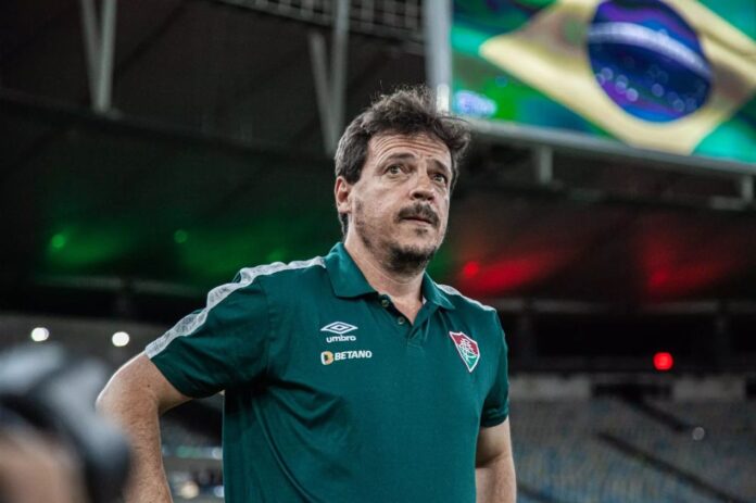 Fernando Diniz: Reflexões Após Saída da Seleção Brasileira