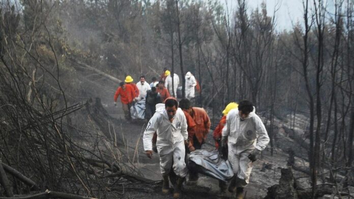 Resposta à Tragédia dos Incêndios