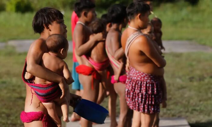Terra Yanomami: Governo Federal Garante Cestas de Alimentos