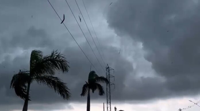 Chuvas e Ventos Fortes em Manaus