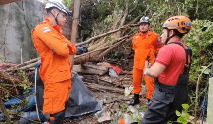 Queda de Árvore em Manaus Mata Morador