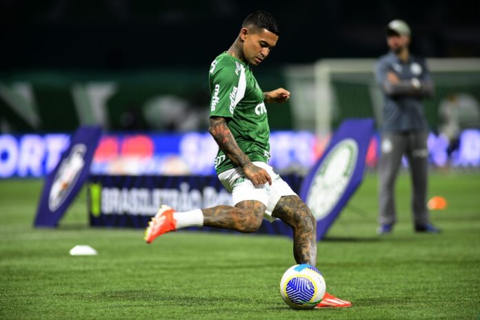 Dudu Fica no Palmeiras