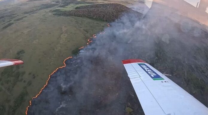 Incêndios no Pantanal