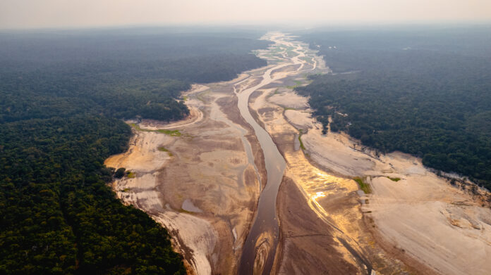 Seca Severa Ameaça Amazonas em 2024