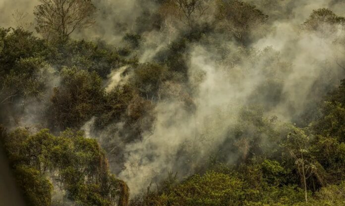 Incêndios degradam 9% do Pantanal