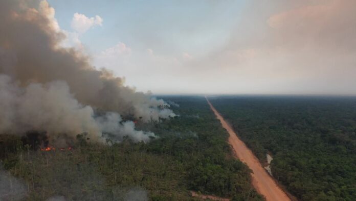 Alerta TCE-AM: Combate às Queimadas e Estiagem