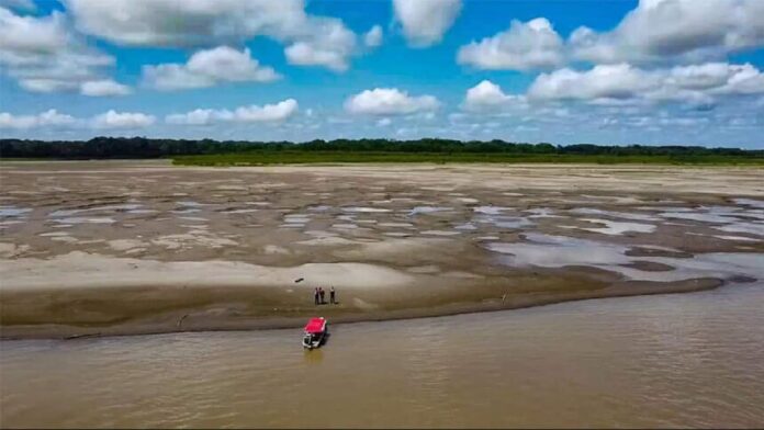 Seca no Amazonas 2024