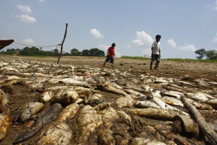 Seca severa causa aumento de preços em Envira