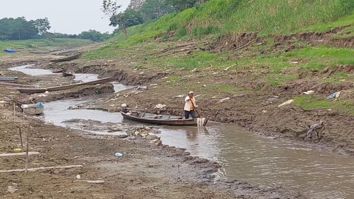 Seca e queimadas no Amazonas: Crise em agosto de 2024