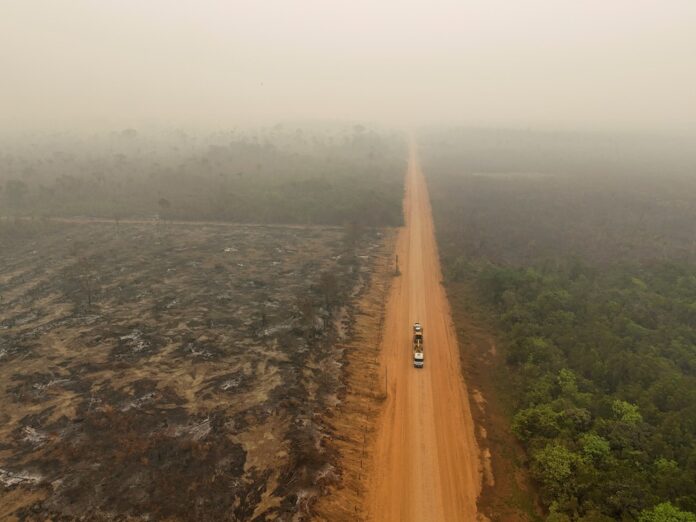 Amazonas registra queimadas recordes em 2024