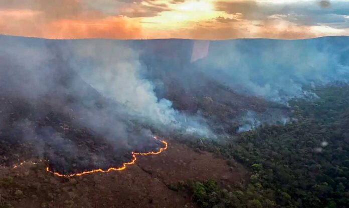 Incêndio na Chapada dos Veadeiros devasta 10 mil hectares