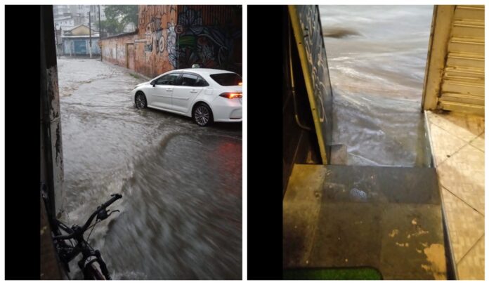 Chuva derruba árvores em SP e causa alagamentos