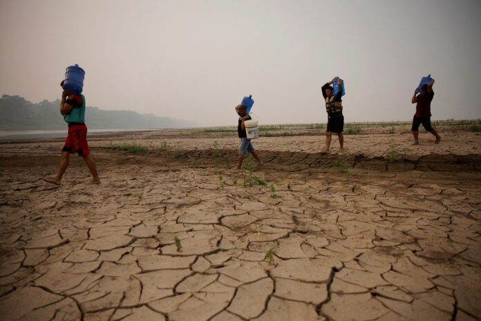 Pior seca do Amazonas em 2024 gera prejuízos de R$ 620 milhões