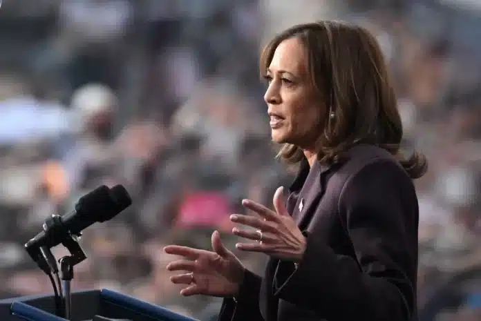 Por que Kamala Harris perdeu