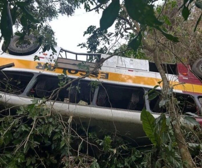 Ônibus cai em ribanceira