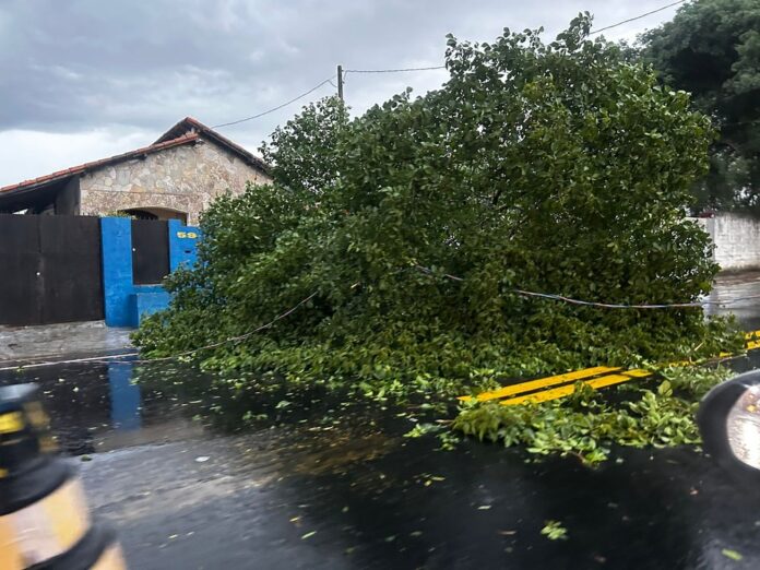 Ventos de 92 km/h causam estragos em Jacareí