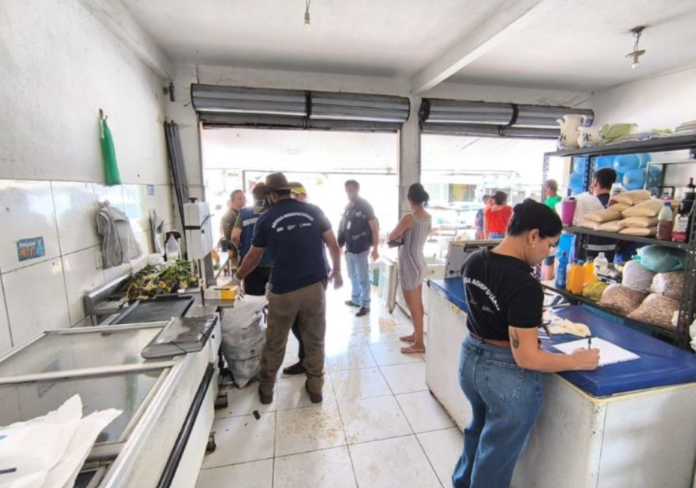 Açougue clandestino fechado em Manaus