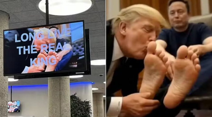 Deepfake de Trump e Musk exibido em TVs do governo