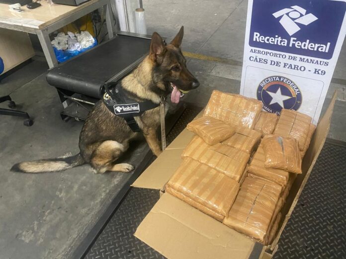 funcionario-preso-97kg-maconha-aeroporto-manaus