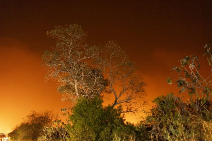 Governo usa Fundo Amazônia contra fogo no Cerrado