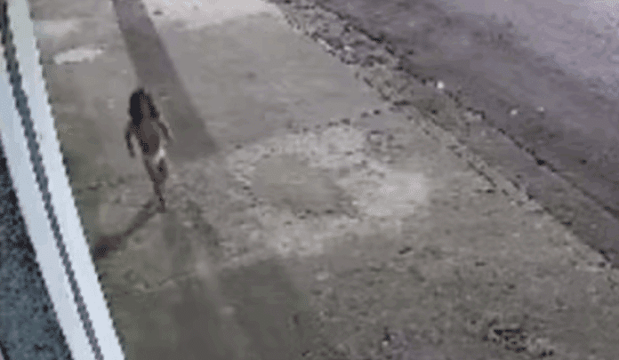 Mãe abandona filha em SP